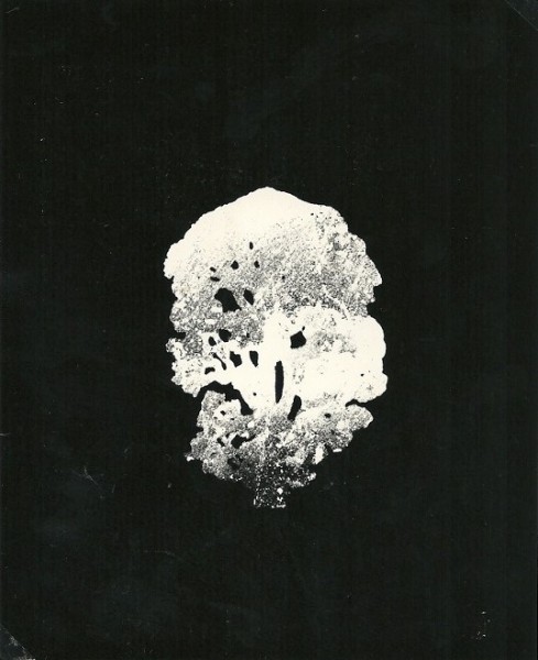 Mutazione,1980-collage poliestere cm. 54x42 