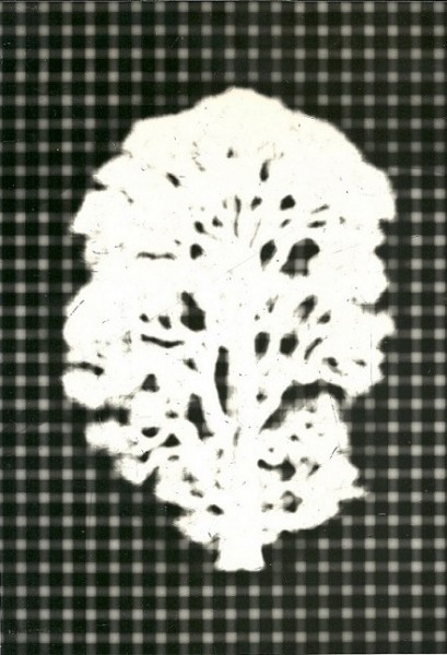 Mutazione, 1979-collage poliestere  cm.56x40 