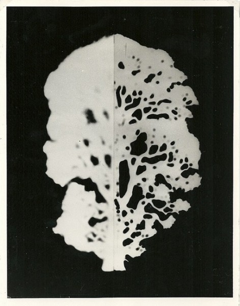 Mutazione, 1980-collage poliestere cm. 50x40 